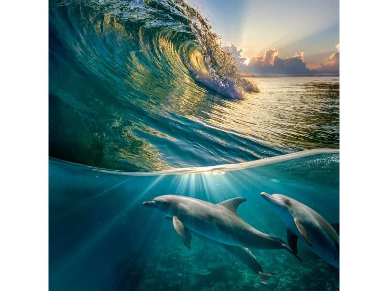 Unter Wasser
