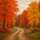 Stille Im Herbstwald-CP