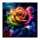 Rose Des Universums-CP