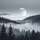 Wald Im Nebel-CP