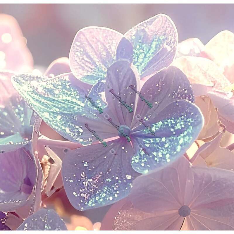 Glitzerblüten-CP