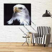 Adler