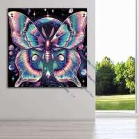 Aurora Butterfly