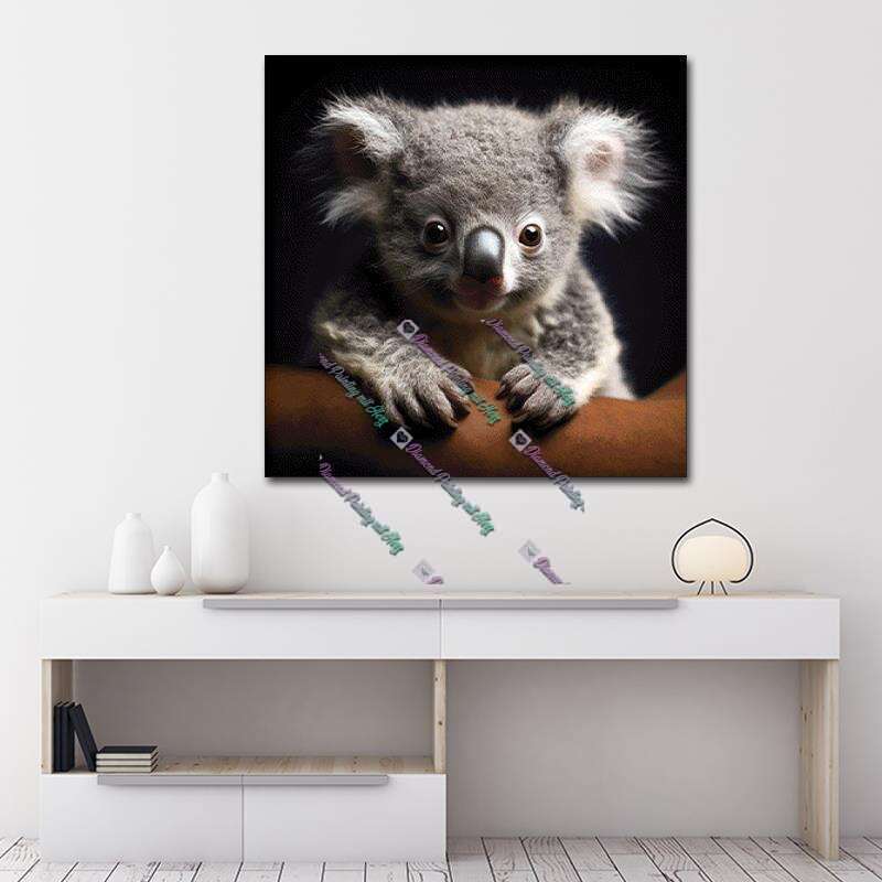 Baby Koala
