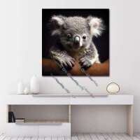 Baby Koala