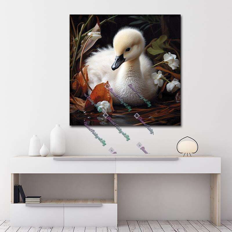 Baby Schwan