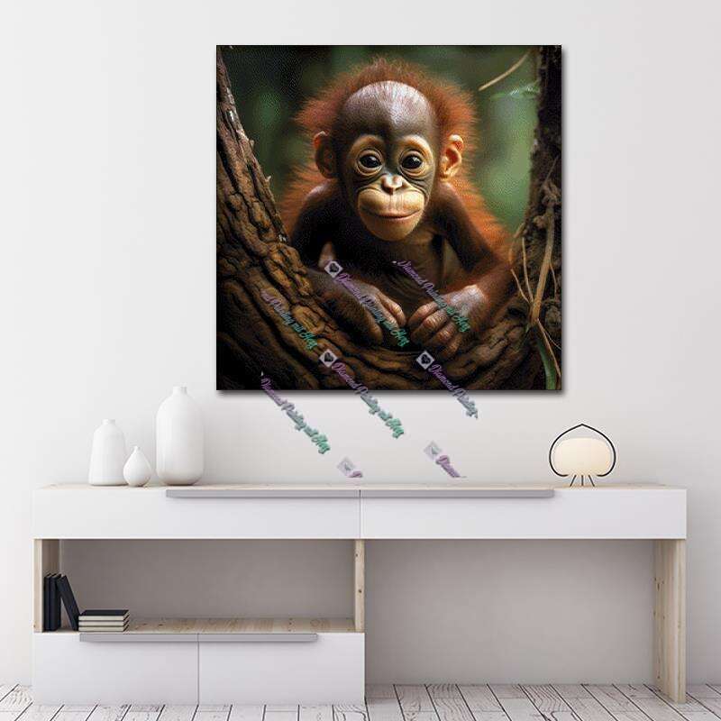 Baby Urang Utan