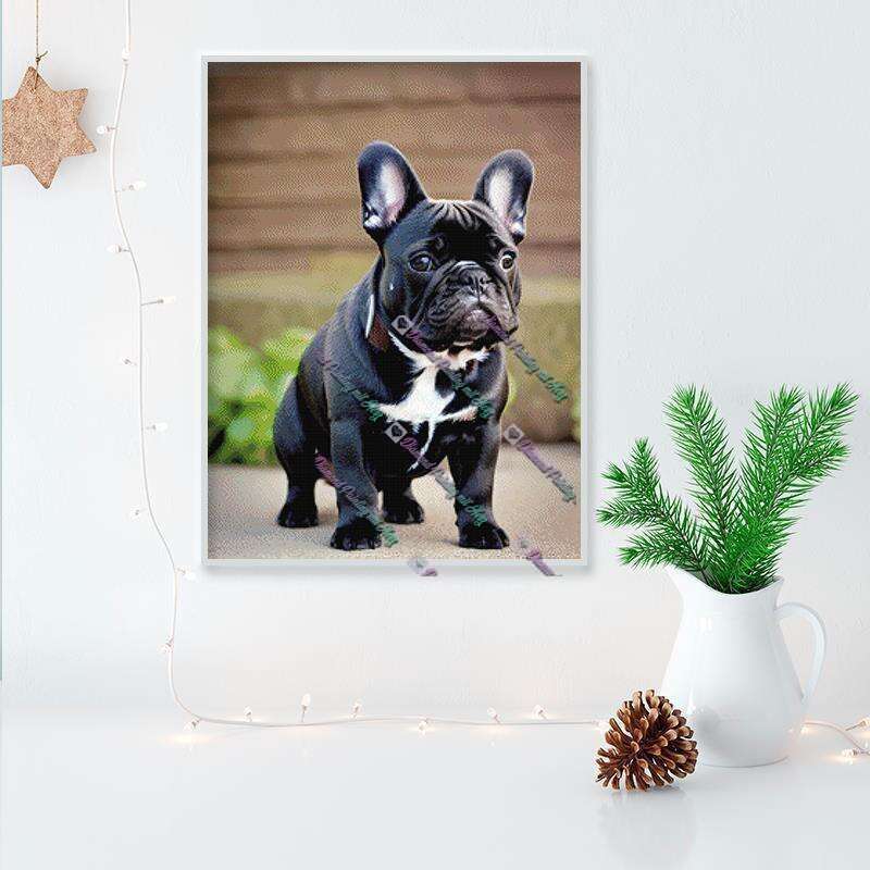 Blacky the Frenchie