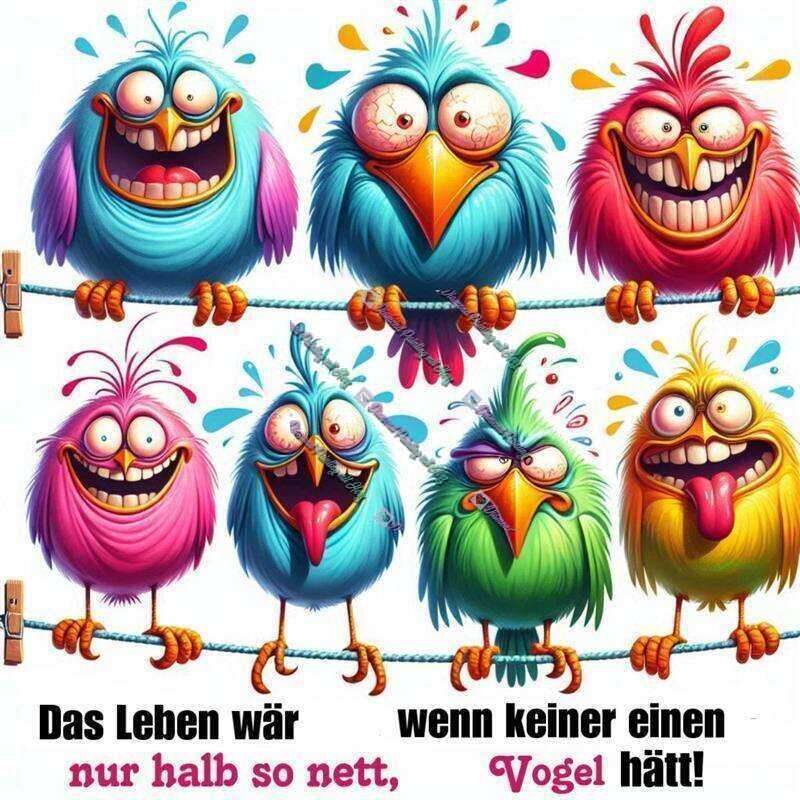 Das Leben wär nur halb so nett-CP