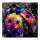 Galaxy Bug-CP