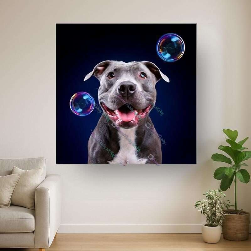 Bubblefreunde