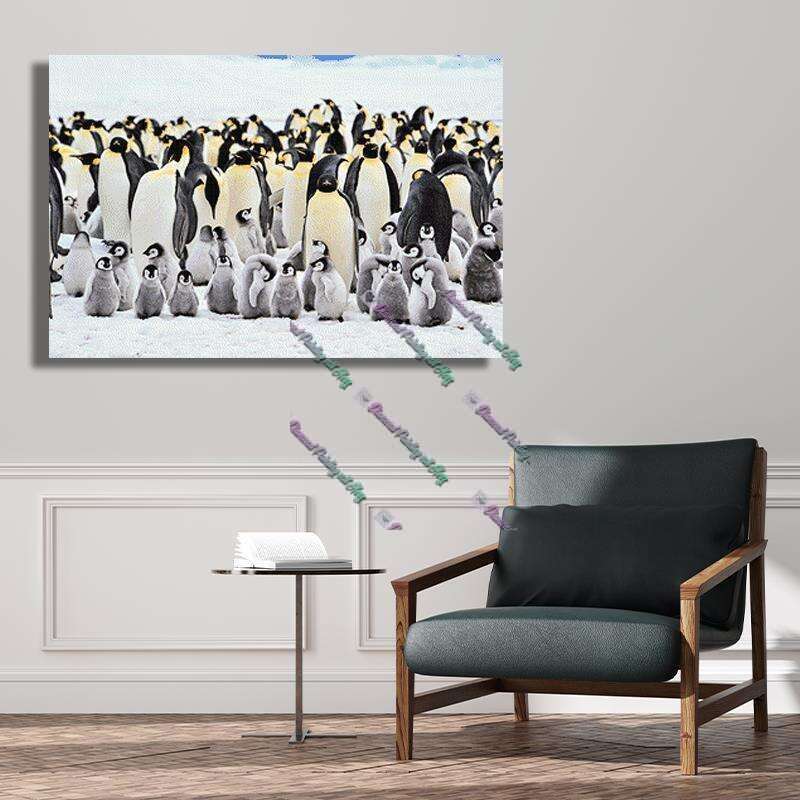 Kaiserpinguine