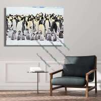 Kaiserpinguine