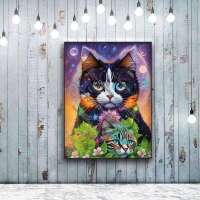 Kittys Gedanken
