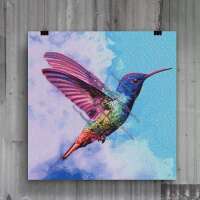 Kolibri