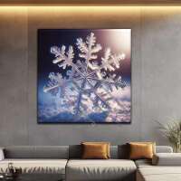 Makro Schneeflocke