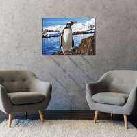 Pinguin