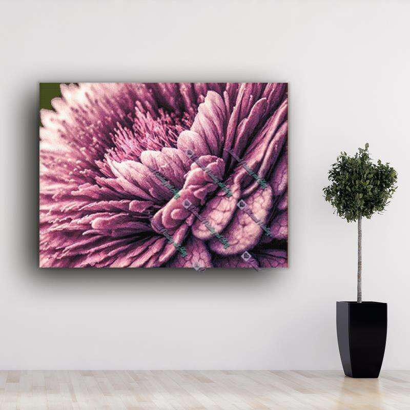 Purple Flower