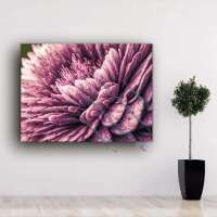 Purple Flower