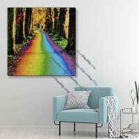 Rainbow Forest