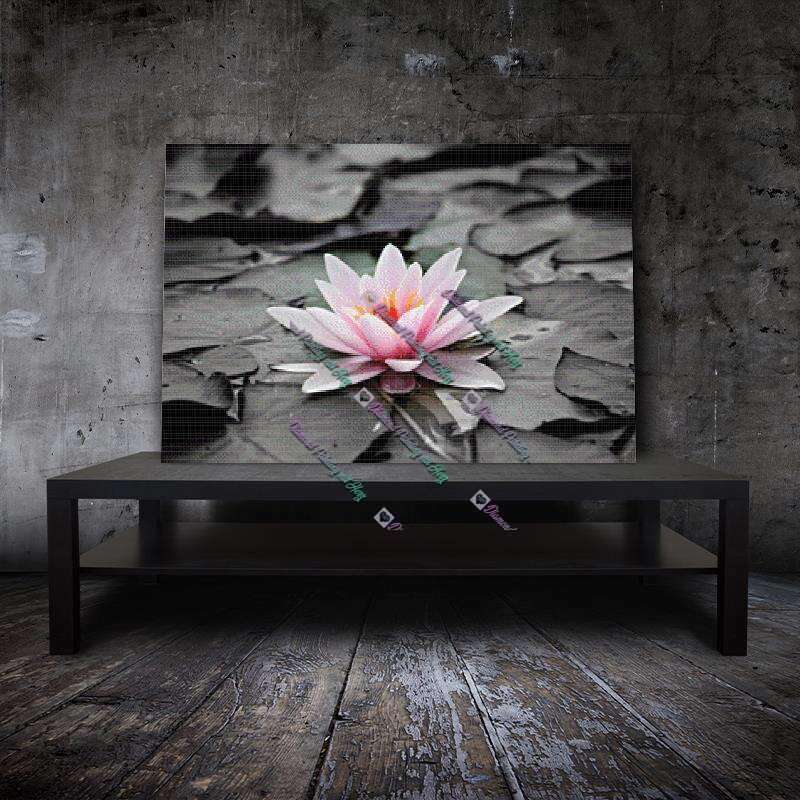 Seerose