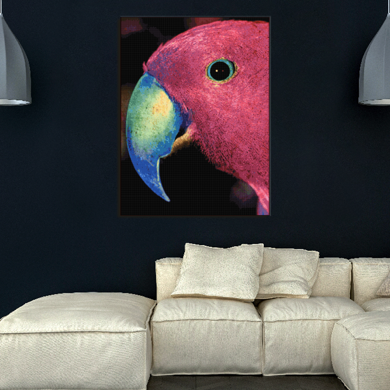 Pink Parrot