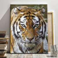 Tigerin