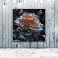 Transparente Rose