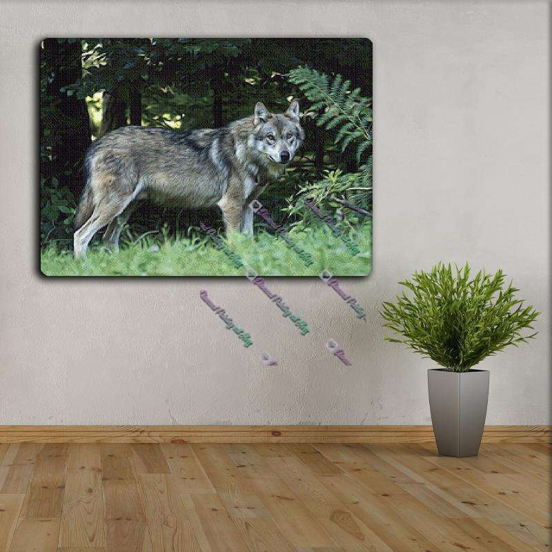Wolf im Wald