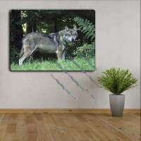 Wolf im Wald