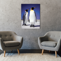 Pinguin Paar