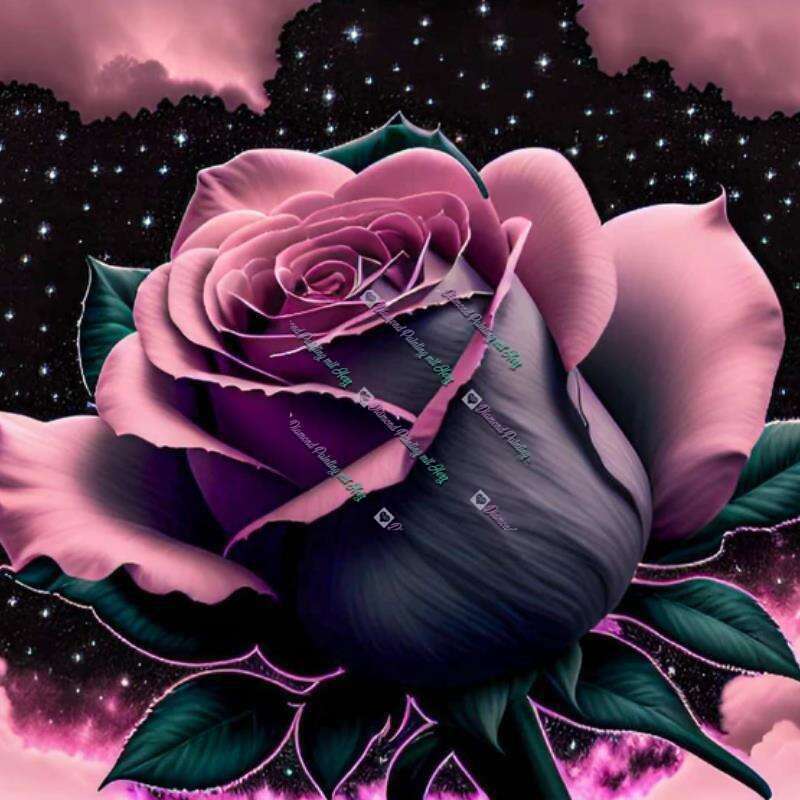 Austausch FD (eckig) Dark Sky Rose
