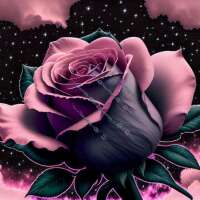 Austausch FD (eckig) Dark Sky Rose