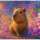 Capibara In Neonblüten-CP