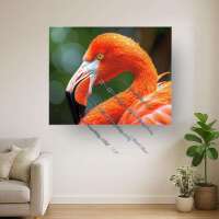realistischer Flamingo (Normal)