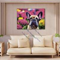 Französische Bulldogge
