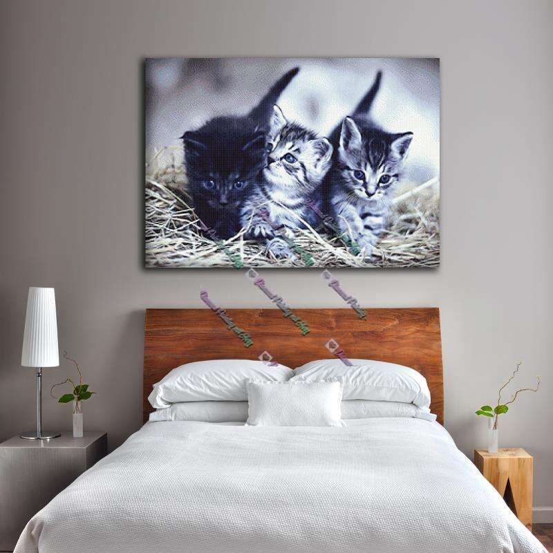 Katzenbabys
