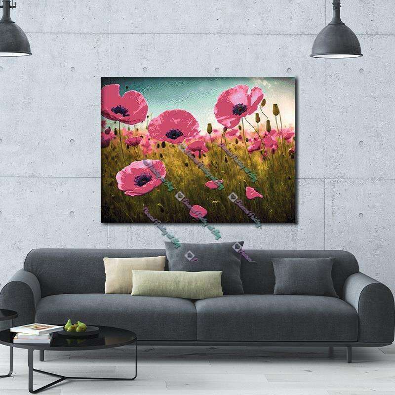 Pinker Klatschmohn