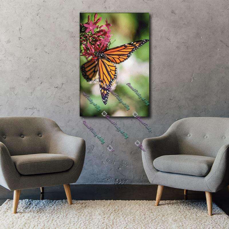 Schmetterling Orange