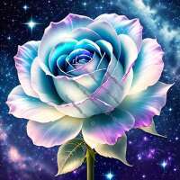 Nightshine Rose-CP